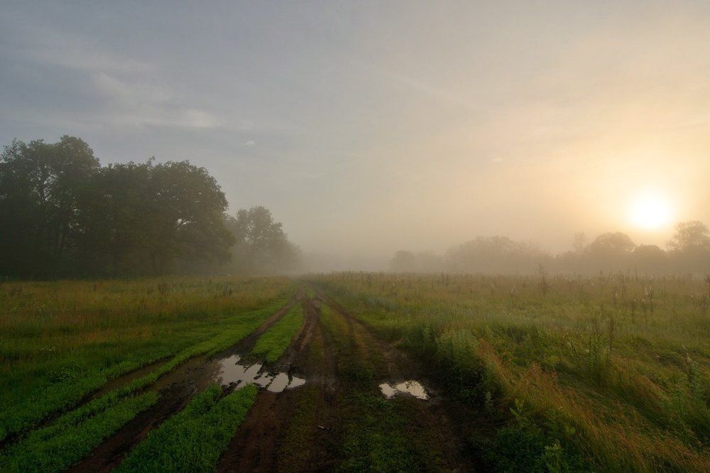 Утро туманное.