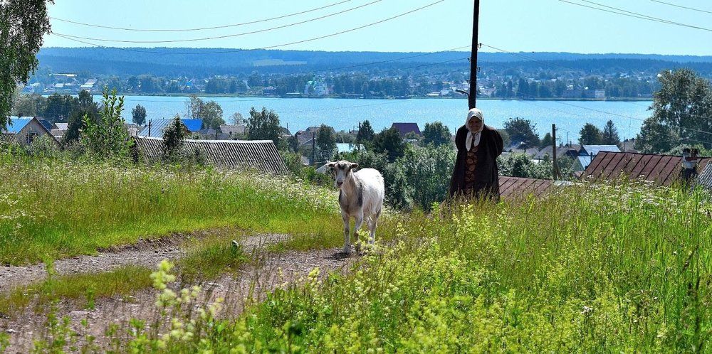 Простая жизнь