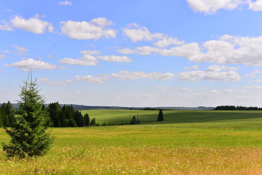 просто день