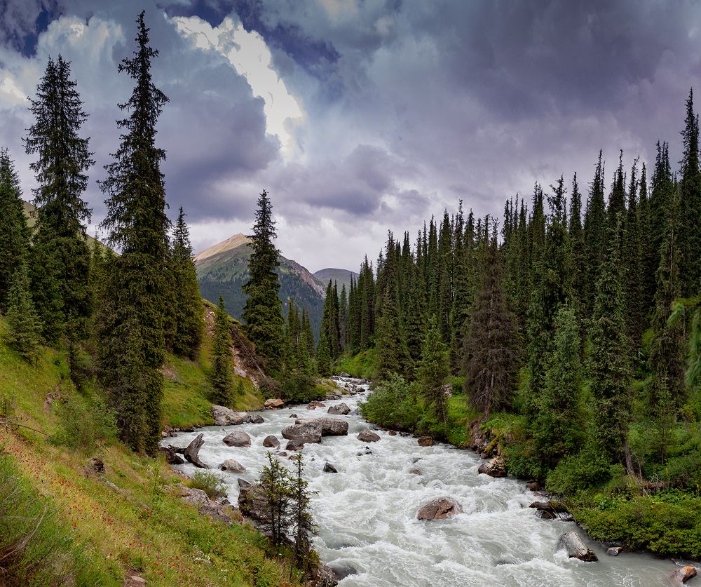 Гроза надвигается