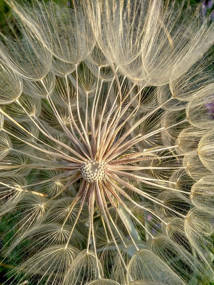 Радиальная