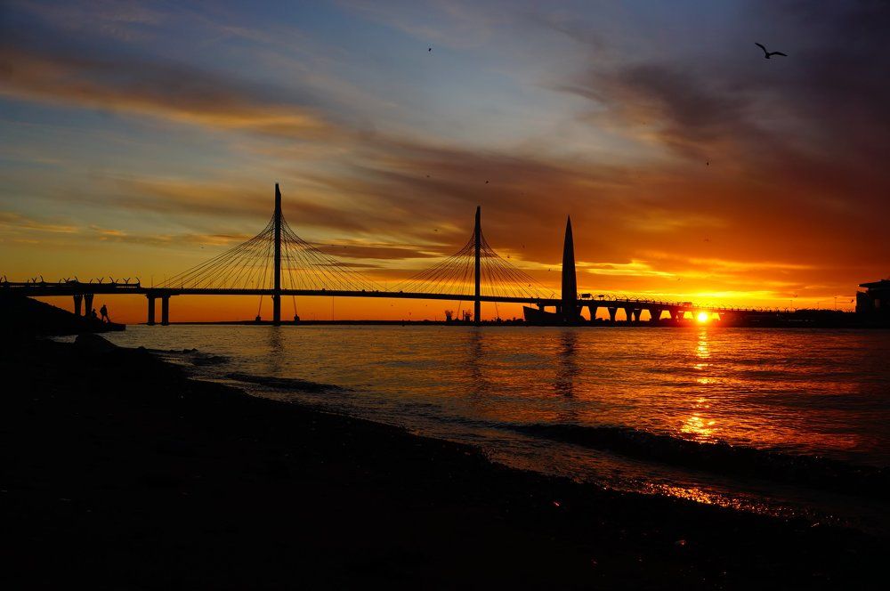Вид на Лахту центр и вантовый мост в Питере