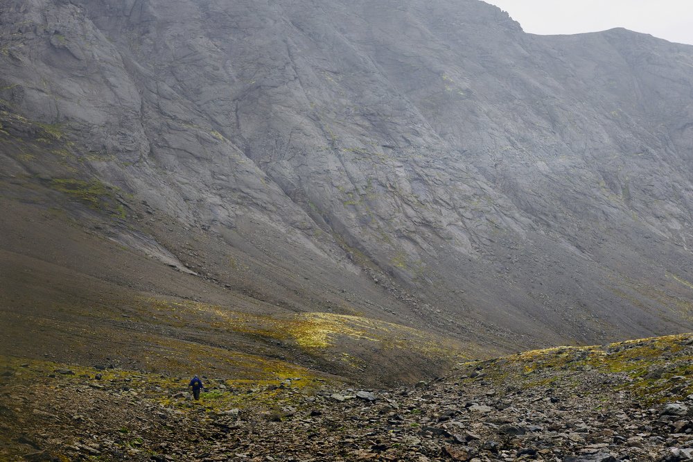 Мыслящий тростник