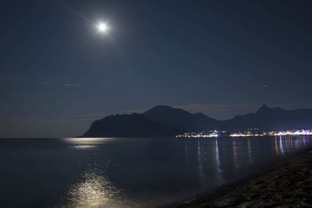 Оливковая ночь