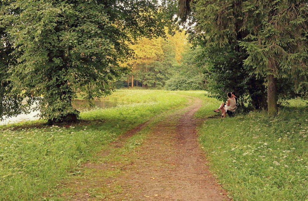 Павловские аллеи