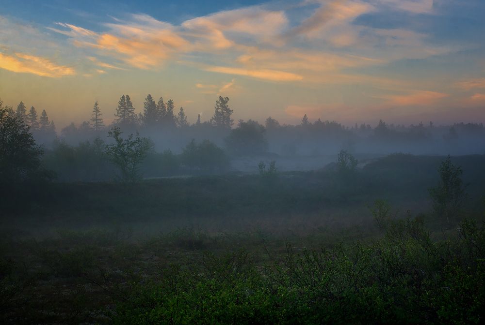 Туман на закате
