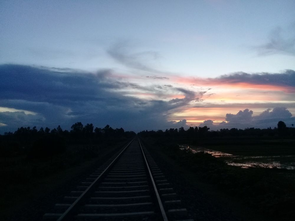 nature