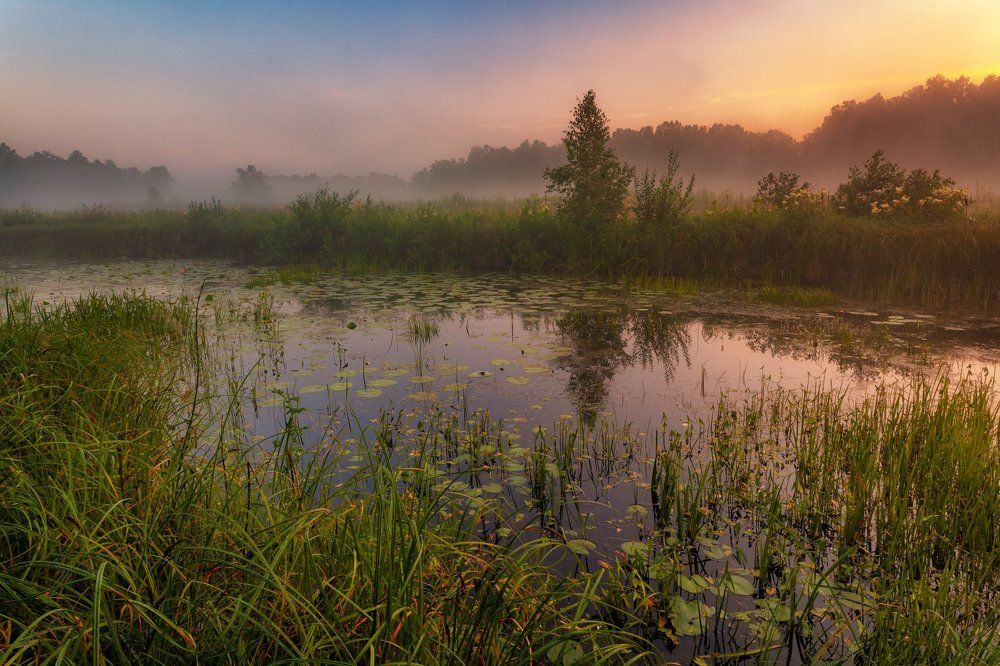 В гостях у сказки
