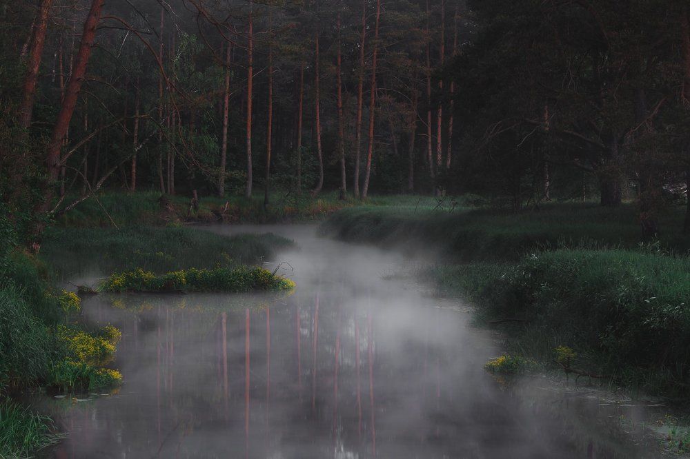 Утренний туман над рекой