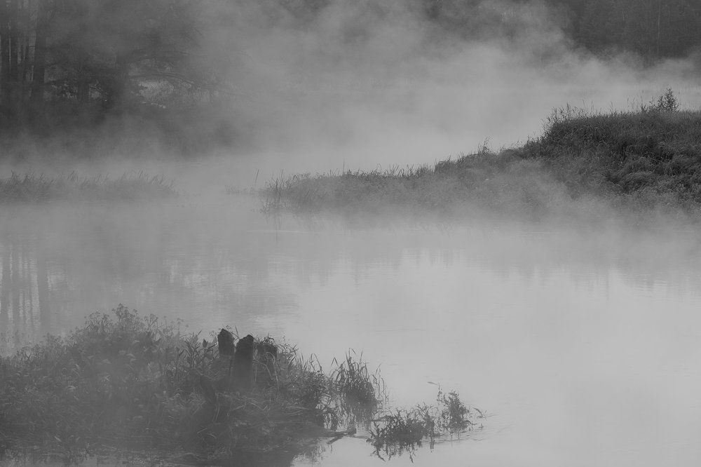 Туман над рекой