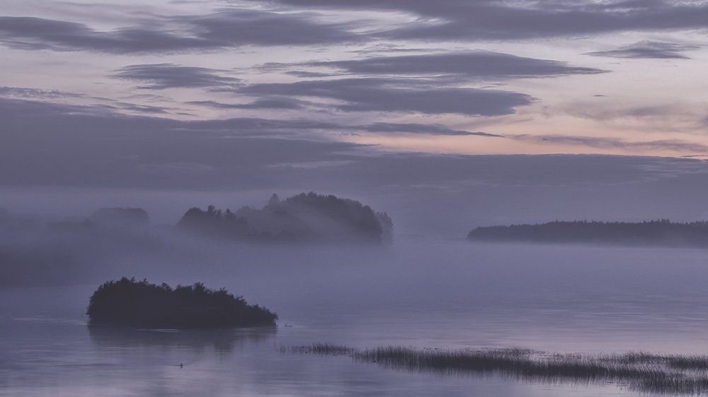Утренние туманы на р.Онега
