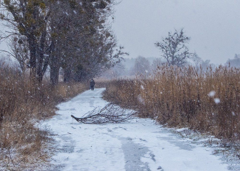 Photograph by Анна