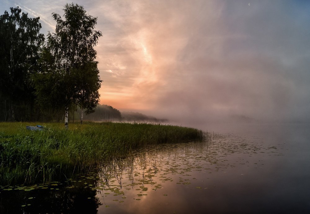 Misty summer morning.