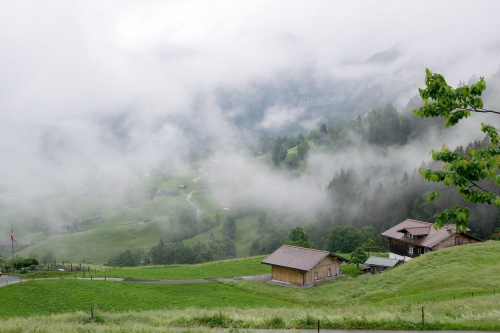 Фотография автора Андрей Симонов