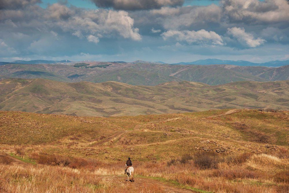 Просторы Казахстана