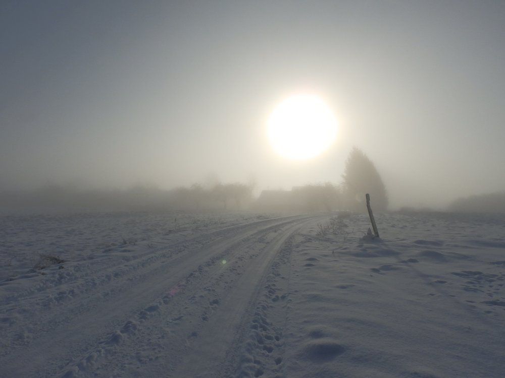 Photograph by Kestutis Indriunas