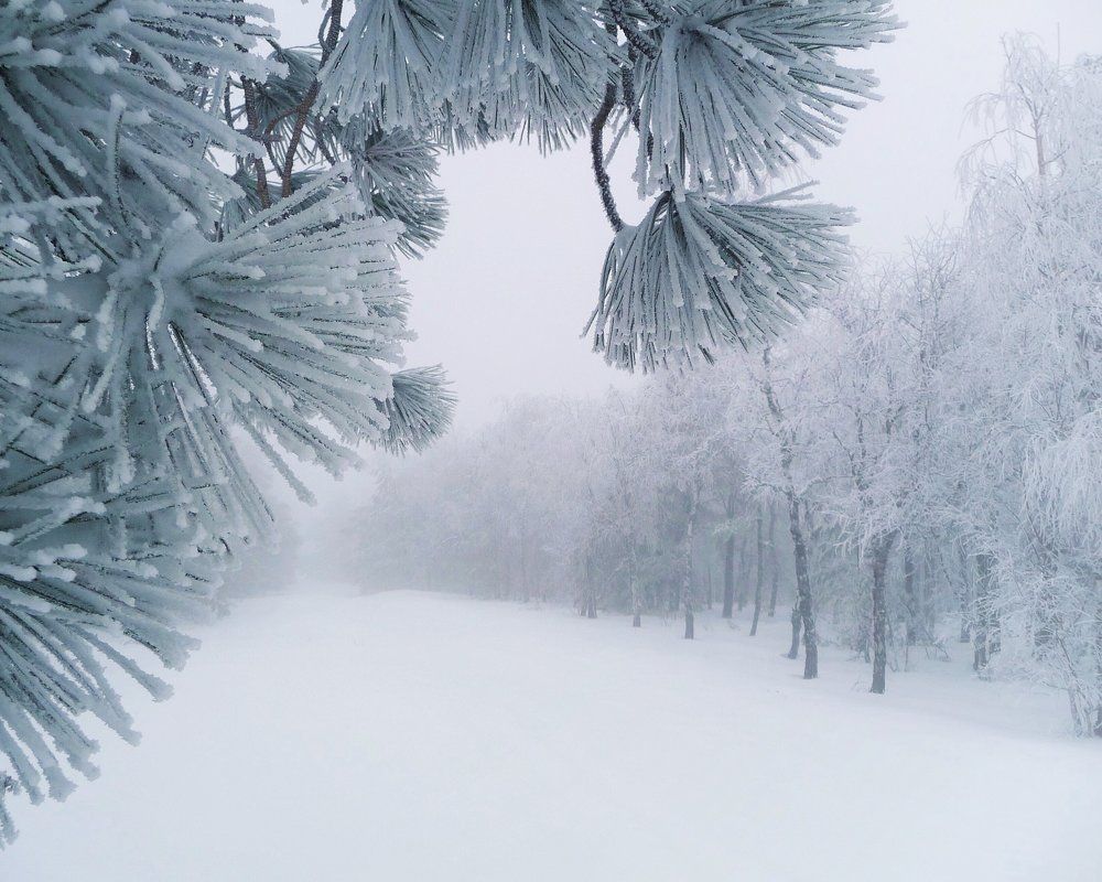 Зимняя сказка на Ай-Петри