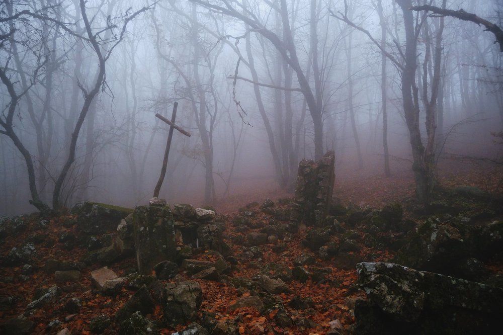 Развалины древнего храма в туманном лесу.