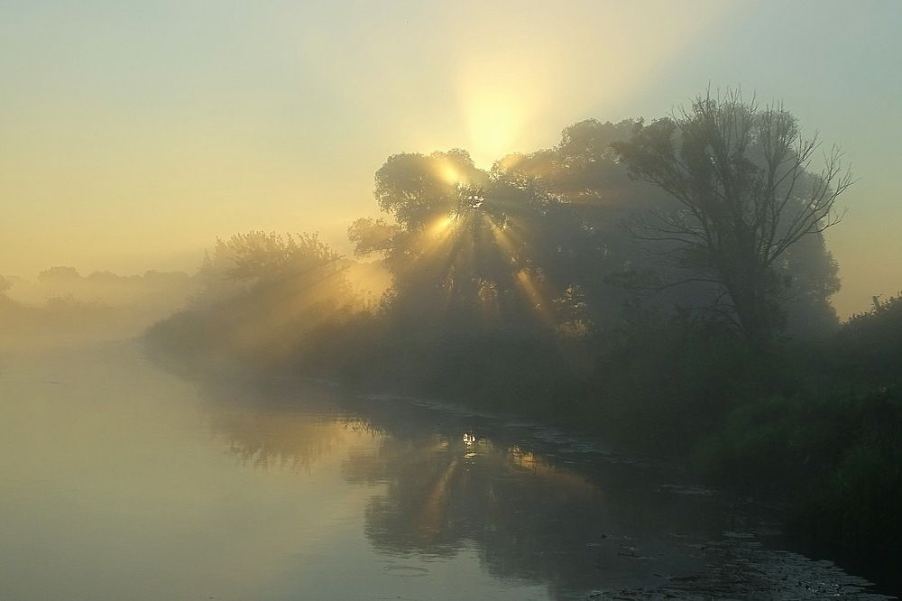 Туманный рассвет