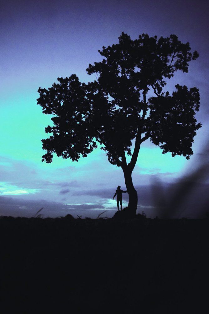 Underneath the tree, I came alive..