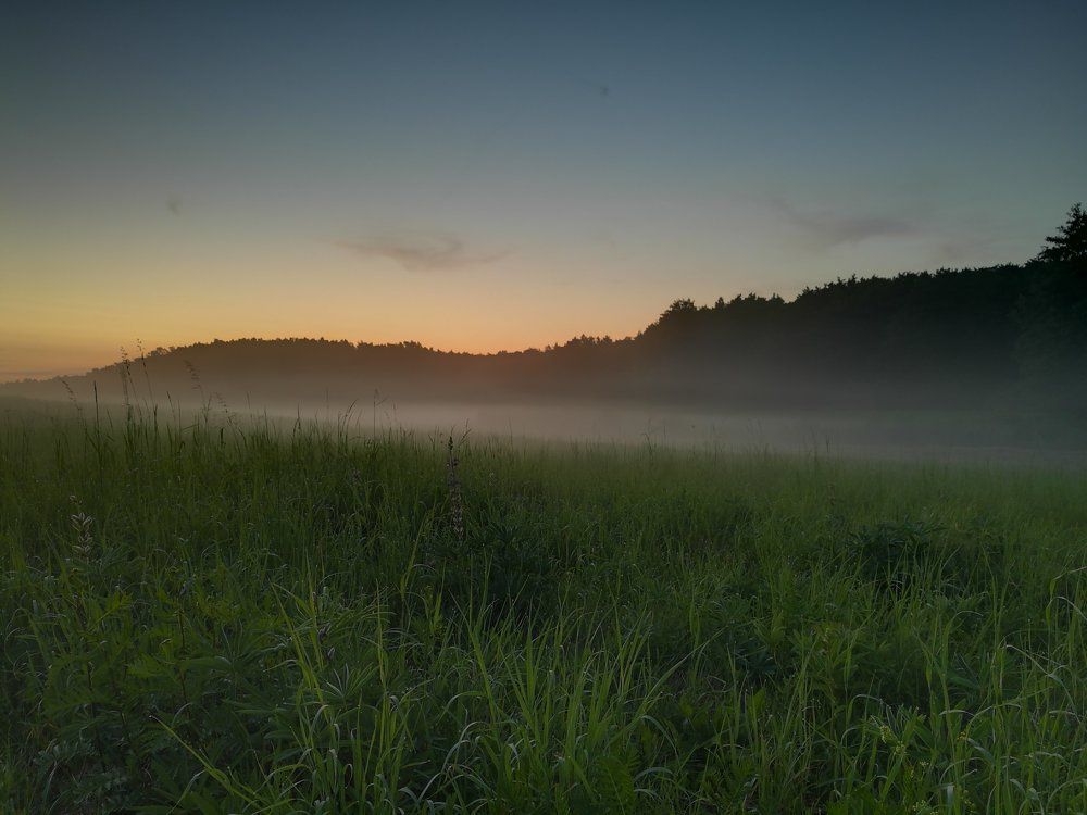 Поле в тумане