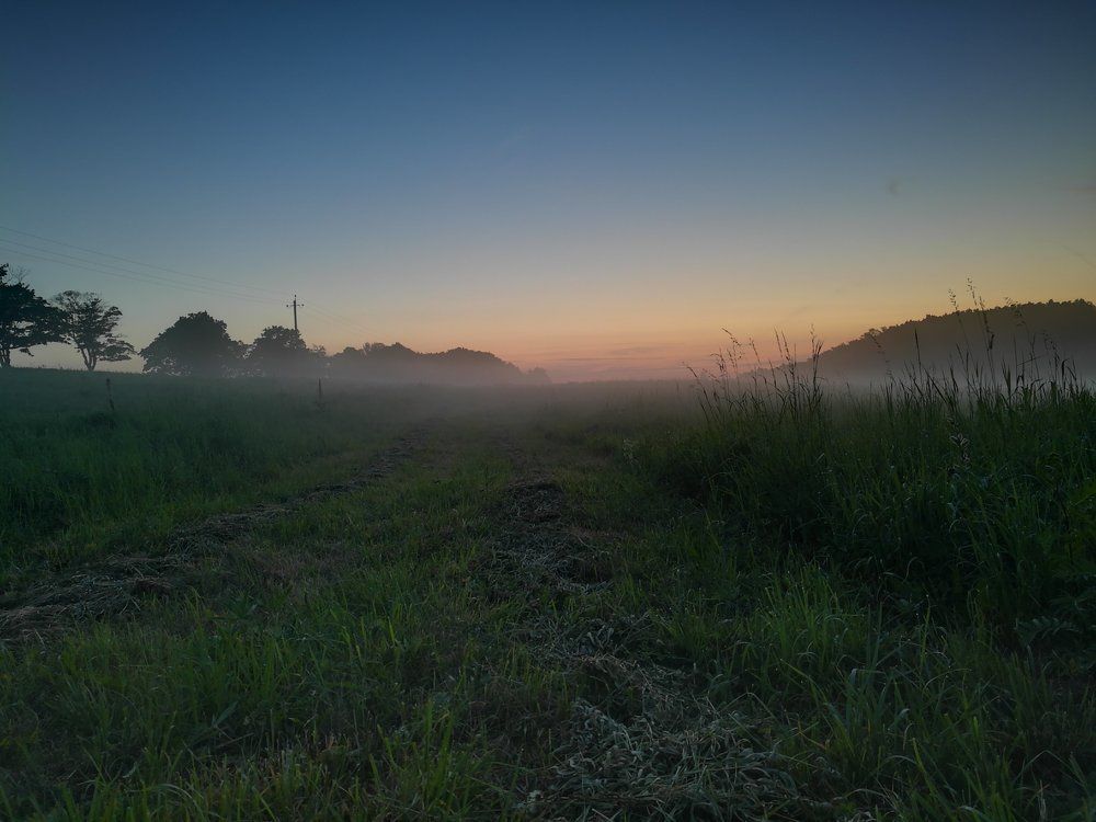 Дорога в тумане