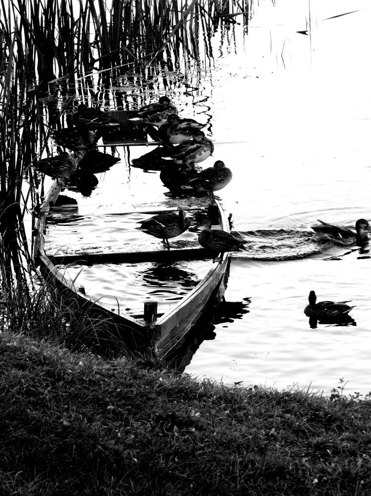 Жизнь и смерть