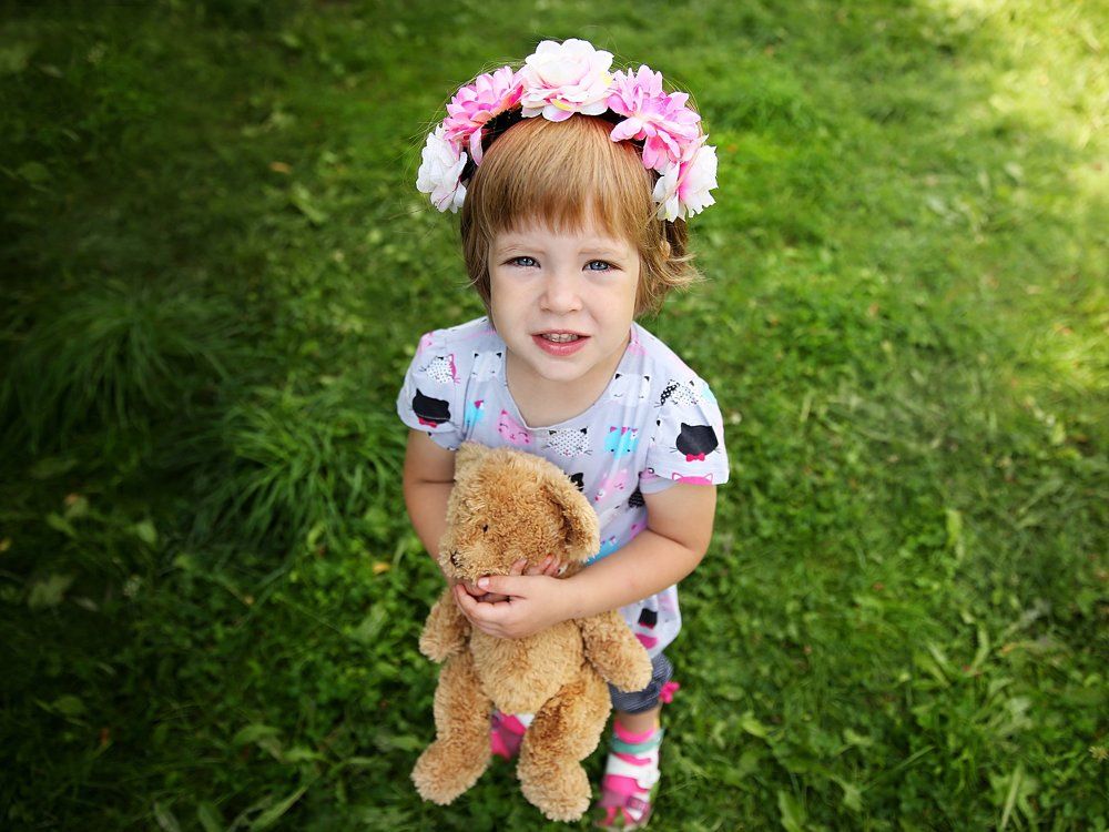 Модель Вера