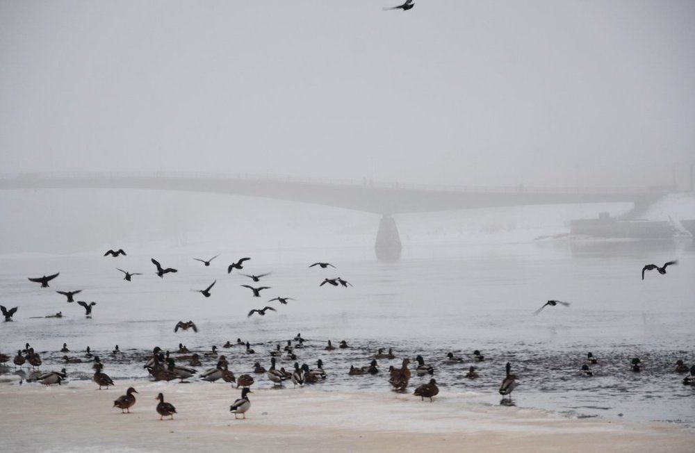 Photograph by Алексей