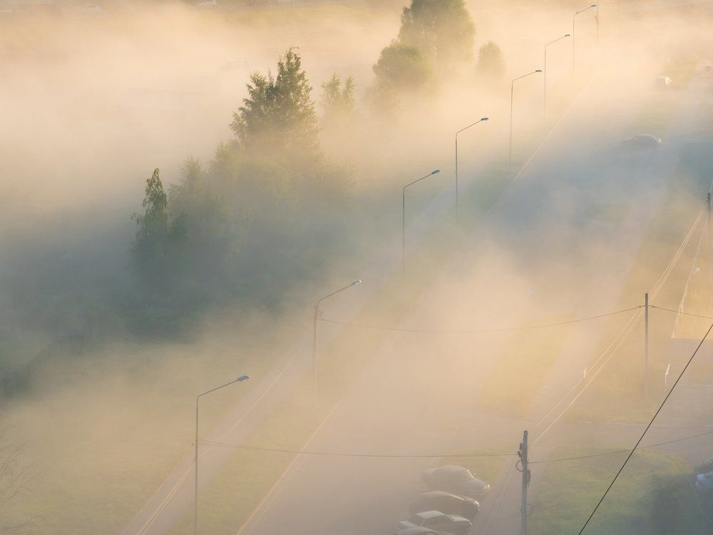 Туманное утро