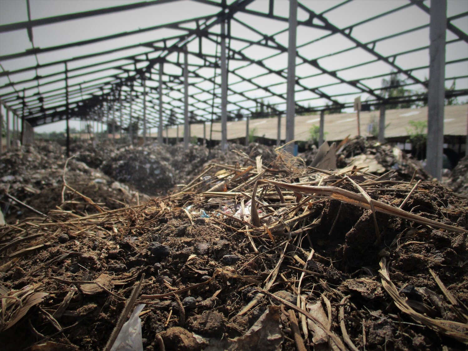Environmental disaster