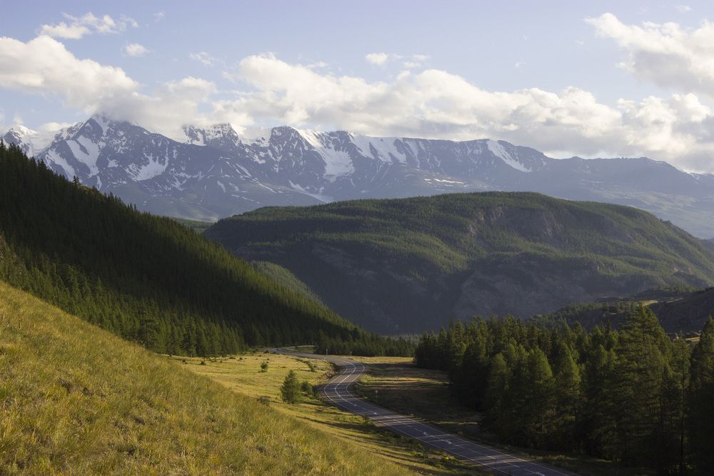 Желтый.Зеленый.Белый.