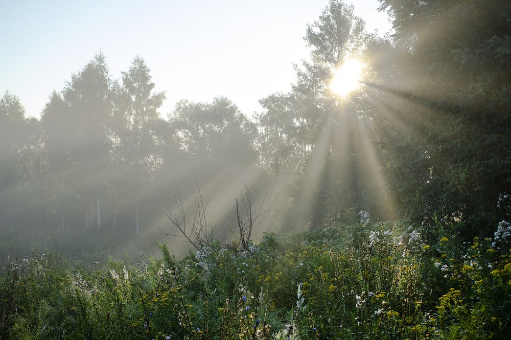 Пробуждение