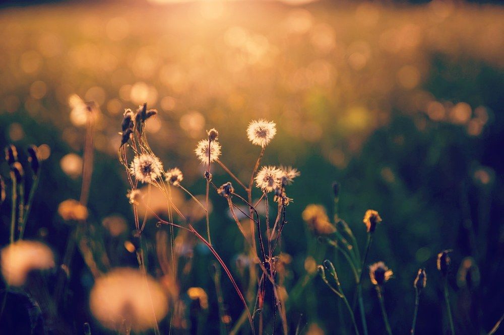 Photograph by Андрей Скобелев