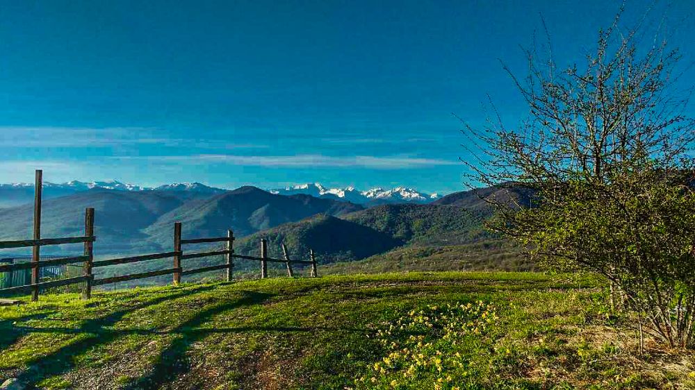 Photograph by Надежда