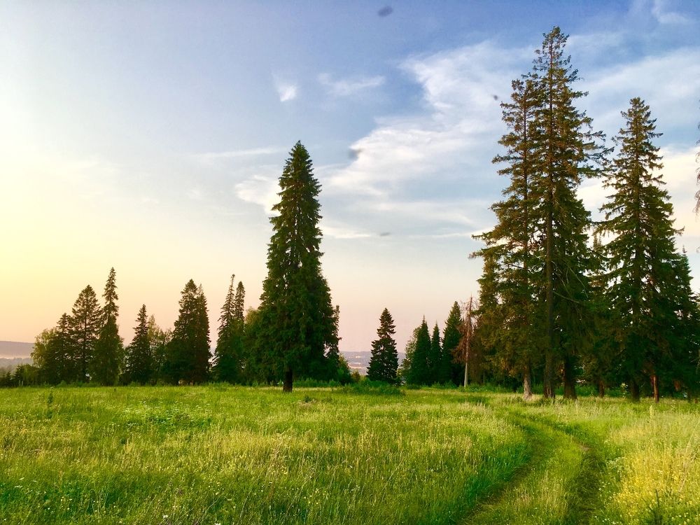 Photograph by Андрей Лекомцев