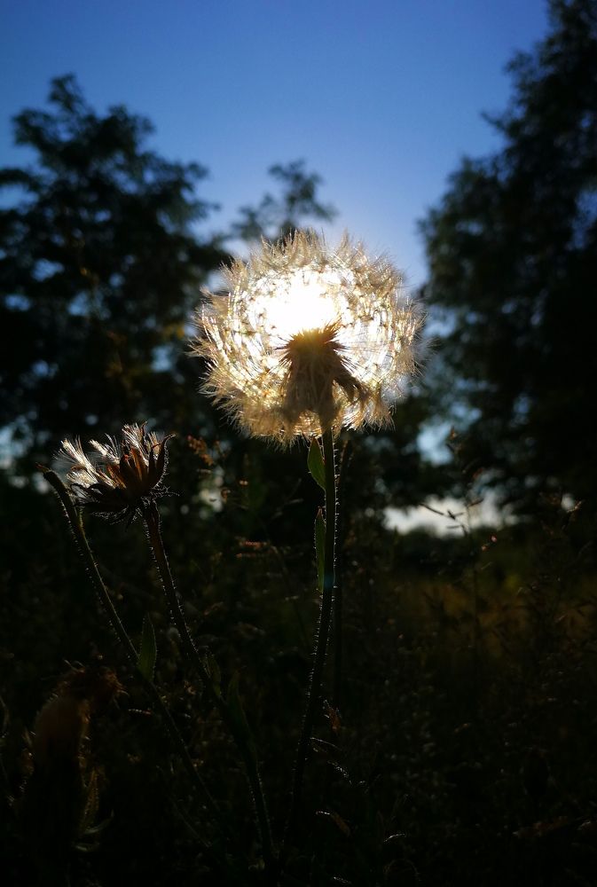Солнечный фонарик