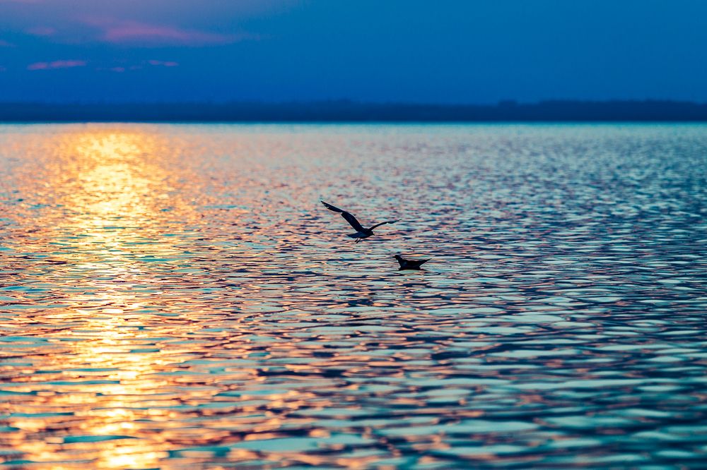 От горячего к холодному