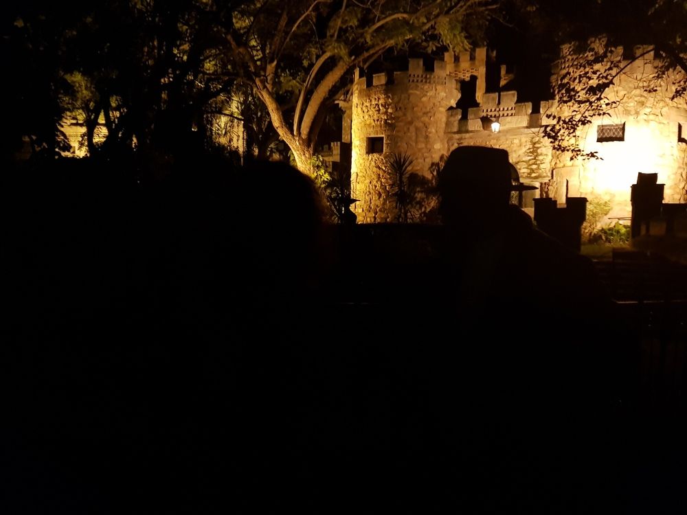 Nesbit Castle At Night