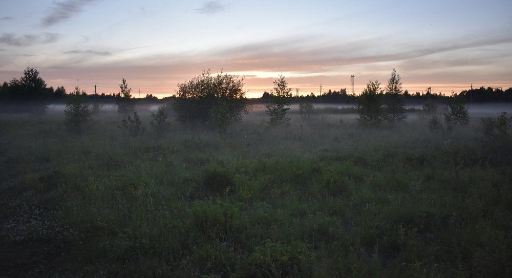 Photograph by Александр Курылёв