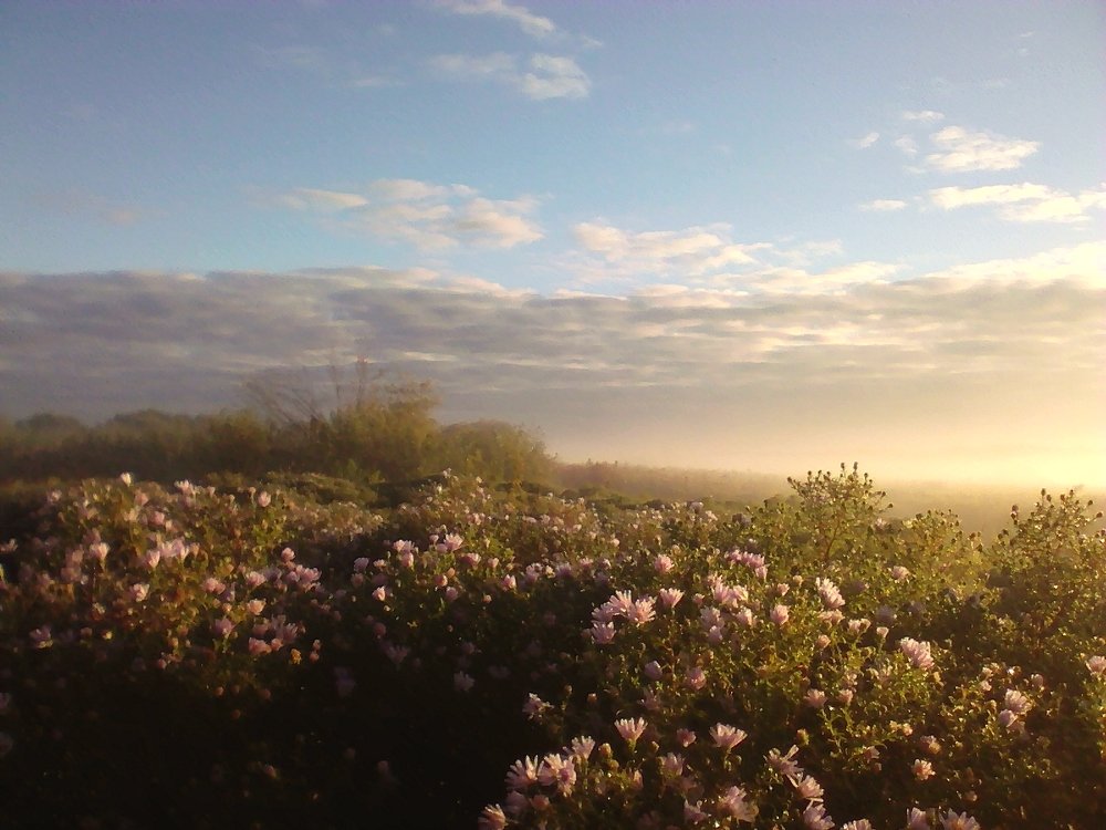 Photograph by Ёлочкина Карина