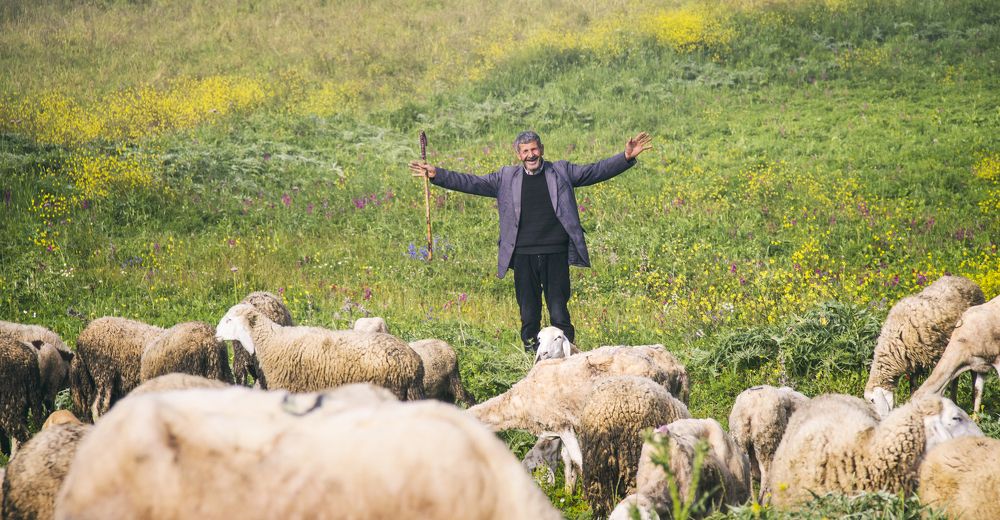 Simple but full life