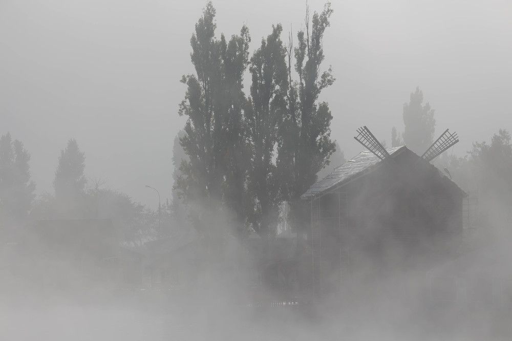 Photograph by Дмитрий