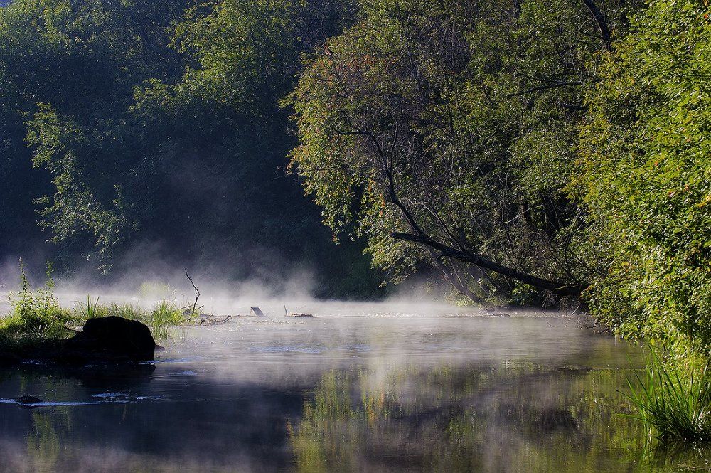 Туманная река на рассвете. A misty river at dawn
