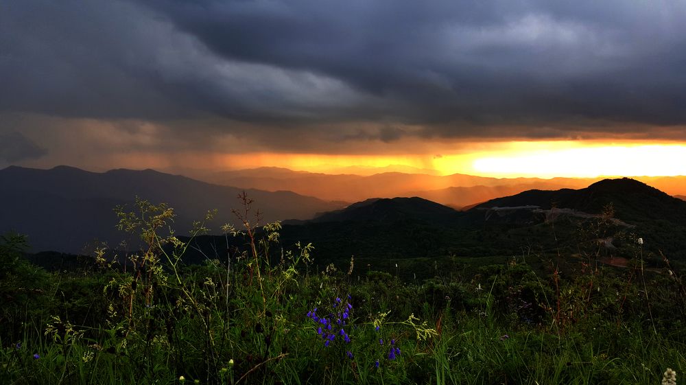 Дождь в горах