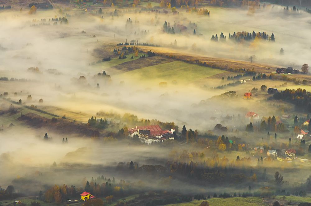 Village fog