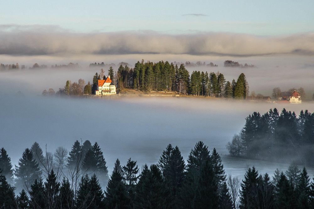 Утро туманное