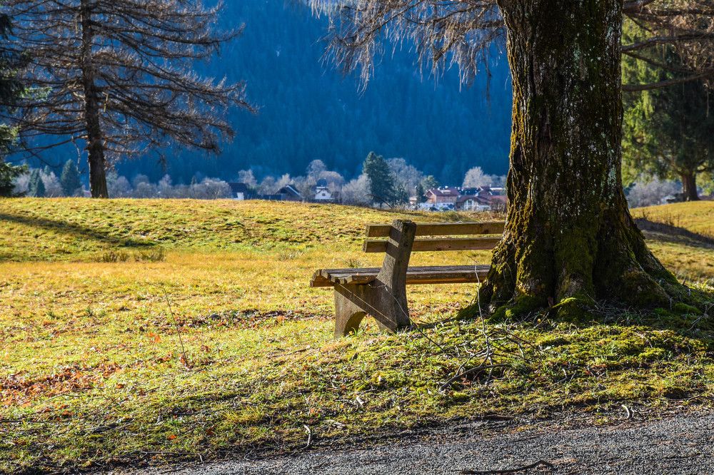 "Как прекрасен этот мир..."