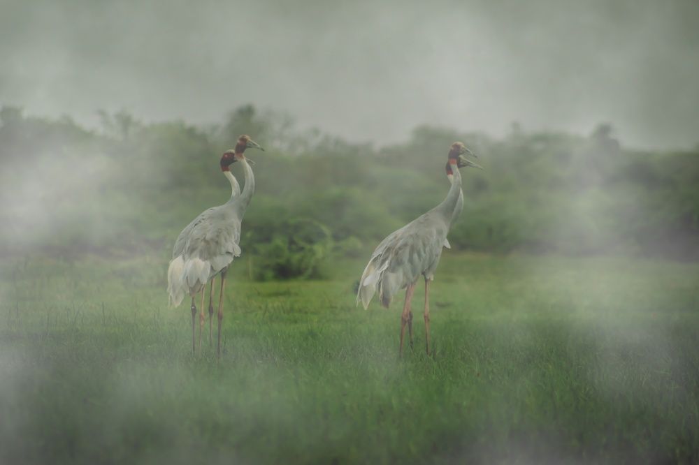 Photograph by Atul mehta