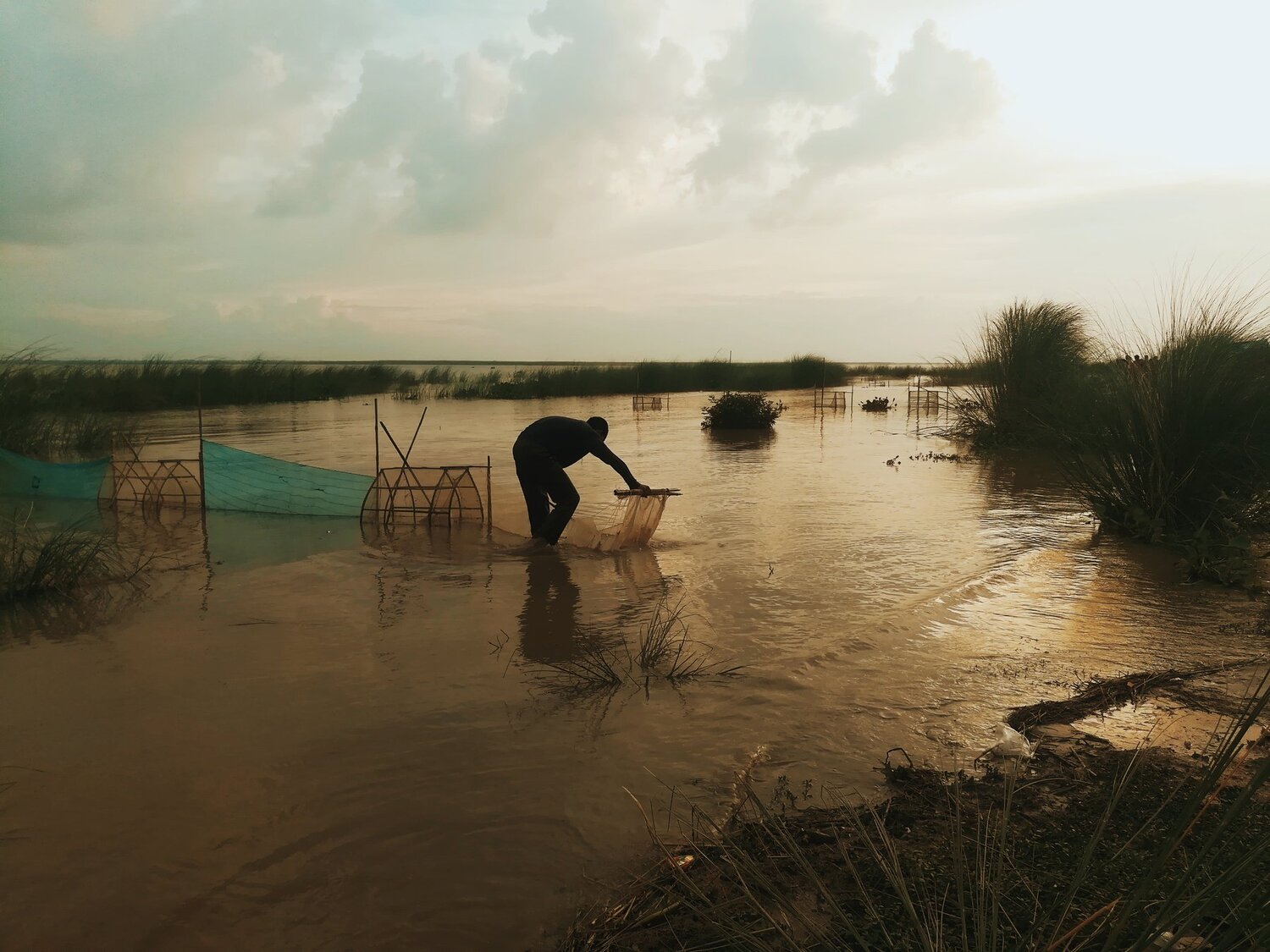 Fisherman in river padma
